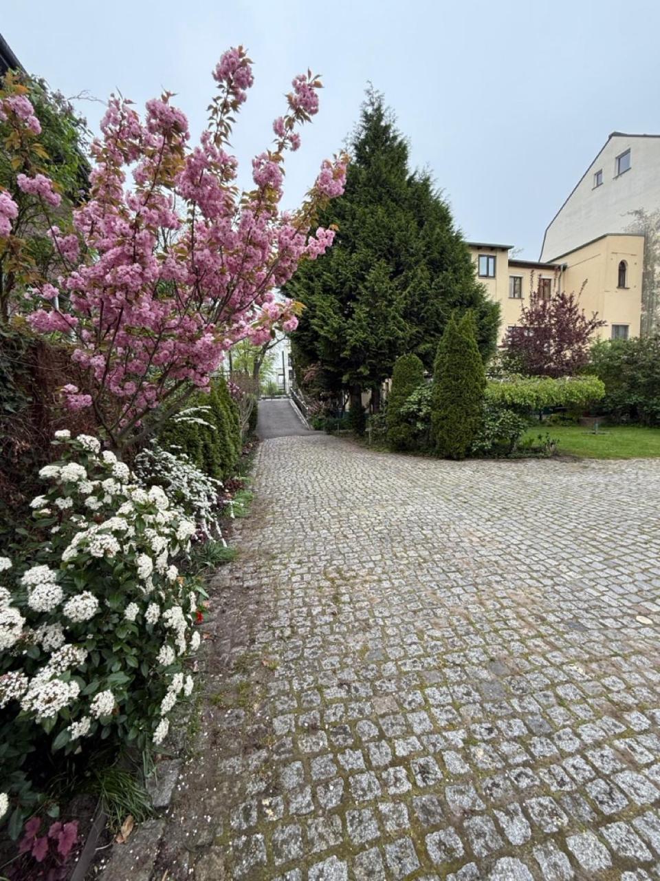 Pension Am Tiefen See Potsdam Exterior photo